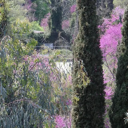 Skevoulis Apartament Benitses (Corfu)
