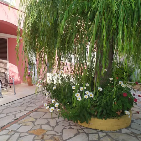 Apartament Skevoulis